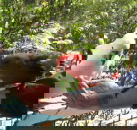 Lorne Bush House Cottages  Eco Retreats - ACT Tourism