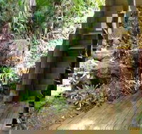 Rainforest Hideaway - ACT Tourism