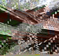 Barrington Wilderness Cedar Lodge Accommodation - ACT Tourism