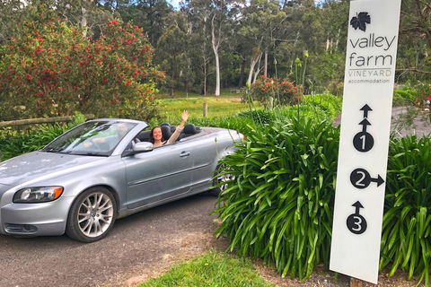 Valley Farm Vineyard Cottages - ACT Tourism 0
