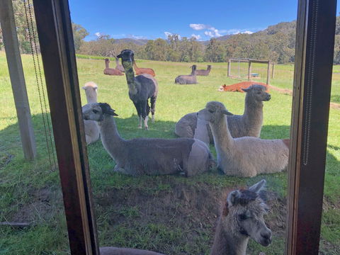 Valley Farm Vineyard Cottages - ACT Tourism 2