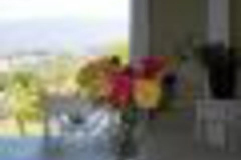 Eagles View Bed & Breakfast - ACT Tourism 6