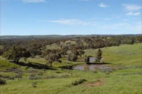 Clare View Accommodation - ACT Tourism 6