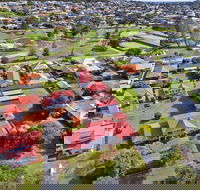 Pelicans Albany - ACT Tourism