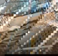 Platinum Suites Fremantle - ACT Tourism