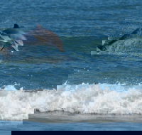 Summerhills Retreat Byron Bay - ACT Tourism