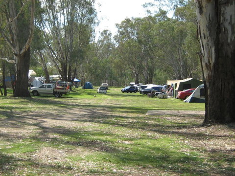 Rivergum Holiday Park - ACT Tourism 4