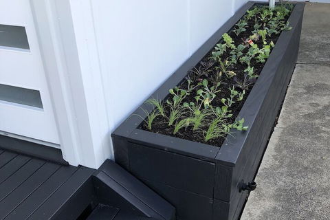 Augusta Escape Holiday Units - ACT Tourism 5