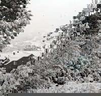 Alpenhorn - ACT Tourism