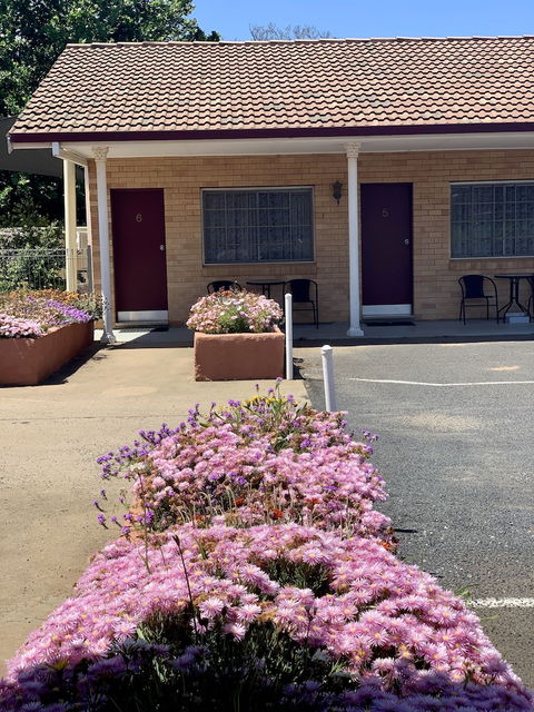 Gilgandra Motel - ACT Tourism 6
