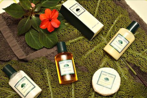 Mapleton Cabins & Caravan Park - ACT Tourism 7