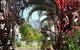 Asylum Cairns Hostel - thumb 3