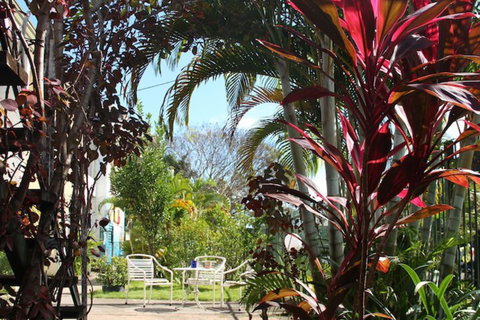 Asylum Cairns Hostel - ACT Tourism 3