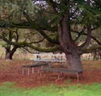 Auburn Shiraz Motel - ACT Tourism