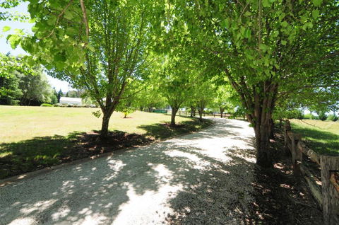 Daisy Cottage - ACT Tourism 7