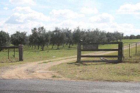 Trefolly Olive Cottage - ACT Tourism 2