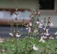 Serendipity on Allyn - ACT Tourism