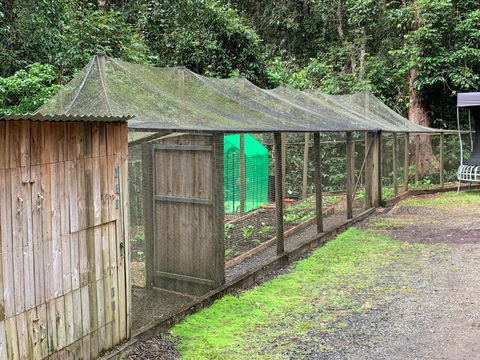 Figtree Getaway - ACT Tourism 6