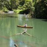 Figtree Getaway - ACT Tourism 0