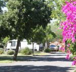 BIG 4 Hay - ACT Tourism