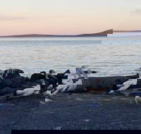 Hilton Motel - ACT Tourism