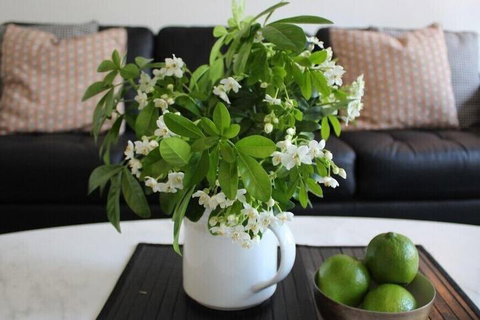 Centrepoint Units Heidelberg - ACT Tourism 2