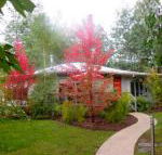 Dalrymples Guest Cottages - ACT Tourism