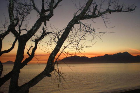 Daintree Village Hideaway - ACT Tourism 3