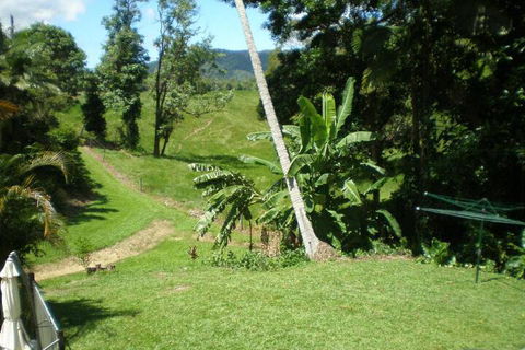 Daintree Village Hideaway - ACT Tourism 5