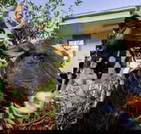 Big4 Shepparton Park Lane - ACT Tourism