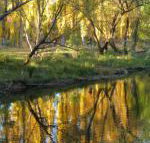 On The Banks - ACT Tourism