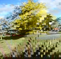 Bairnsdale Main Motel - ACT Tourism