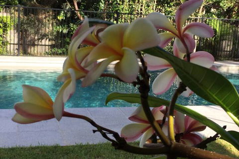 Arabella Garden Inn Motel - ACT Tourism 2