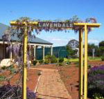Lavendale Farmstay  Cottages York - ACT Tourism