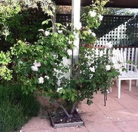 Ellesmere House - ACT Tourism