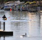 Sunsea Waterfront South Yunderup - ACT Tourism