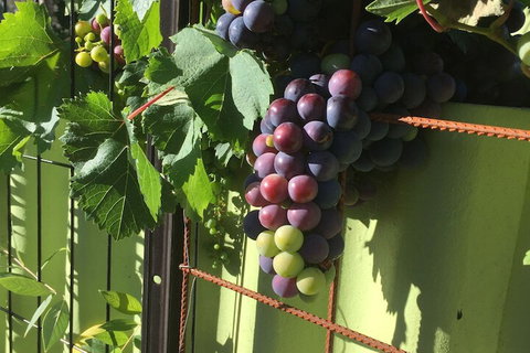 Bed & Breakfast In Perth - ACT Tourism 2