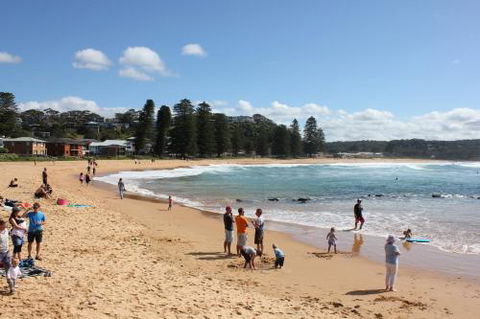 Avoca Beach Cape Cottage - ACT Tourism 6