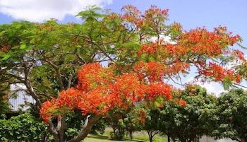 Chatsworth QLD ACT Tourism