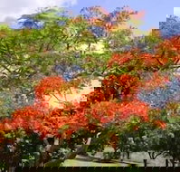 Eastwood Farm - ACT Tourism