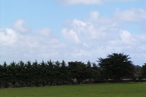 Karingal Homestead B & B - ACT Tourism 5