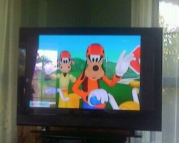 Abelia Cottage Of Daylesford Botanical - ACT Tourism 2