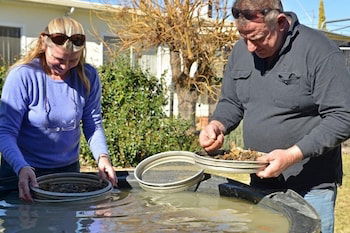 Fossicker Caravan Park - ACT Tourism 1