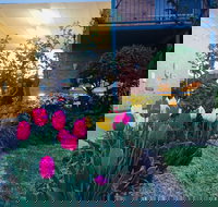 The Vines Motel and Cottages - ACT Tourism