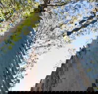 Salisbury Lodges - ACT Tourism