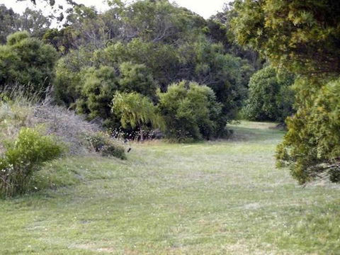 Absolute Waterfront Cottage - ACT Tourism 3