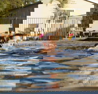 Riverside Cabin Park - ACT Tourism