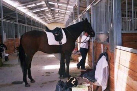 JE Resort - ACT Tourism 1