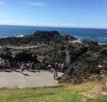 Sea Whispers - ACT Tourism