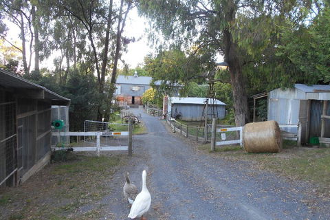 A Twist Of Willow - ACT Tourism 1